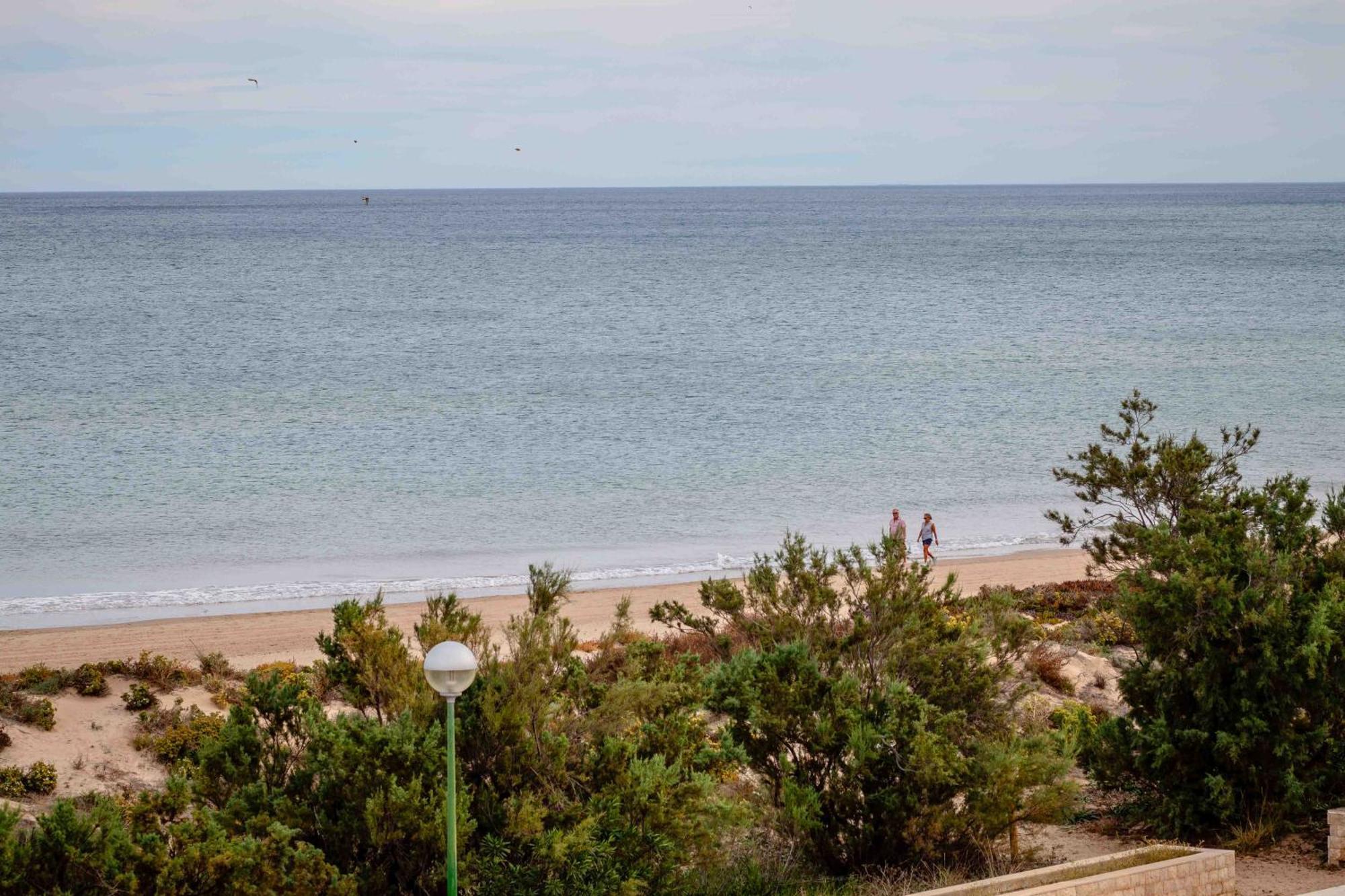Appartamento Relax Total Junto Al Mar Oliva Esterno foto